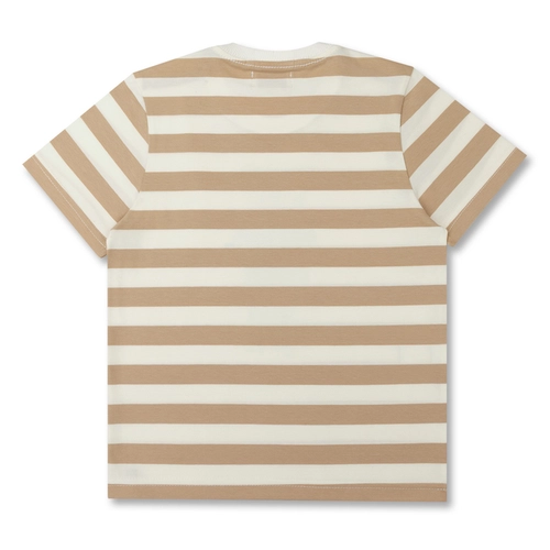 CAMISETA ALGODÃO LISTRADA TEDDY POLO INFANTIL 8330