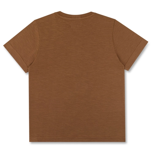 CAMISETA ALGODÃO TEDDY MAPA INFANTIL 8244