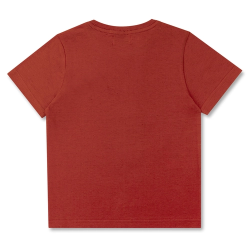 CAMISETA ALGODÃO TEDDY SURF INFANTIL 8326