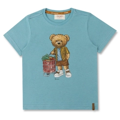 CAMISETA ALGODÃO TEDDY FEIRA INFANTIL 8327