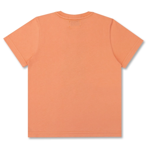 CAMISETA ALGODÃO TEDDY TENNIS INFANTIL 8319 CAMISETA ALGODÃO TEDDY TENNIS INFANTIL 8319 Esmeralda 6