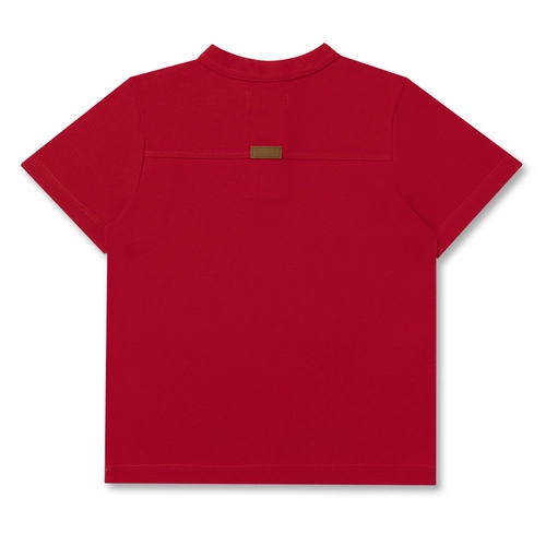 POLO PIQUET ELASTANO BORDADO CAVALO INFANTIL 8379 POLO PIQUET ELASTANO BORDADO CAVALO INFANTIL 8379 Vermelho 12