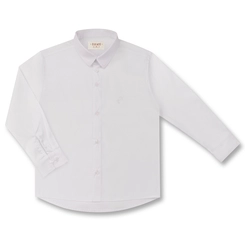 CAMISA ML  P031