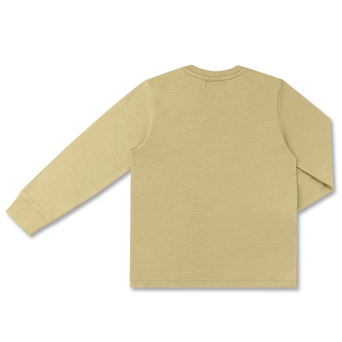 CAMISETA ALGODÃO TEDDY VINTAGE VERDE ML INFANTIL 7972 CAMISETA ALGODÃO TEDDY VINTAGE VERDE ML INFANTIL 7972  Pistache 4